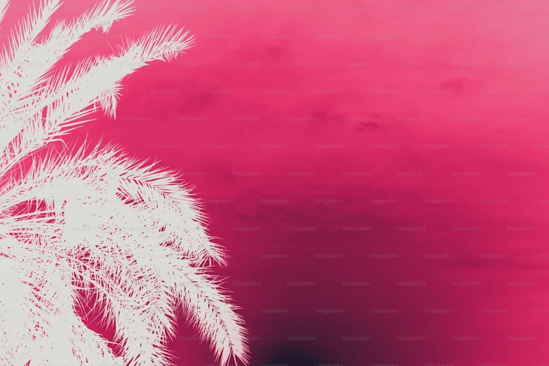 http://upload.mnw.cn/2025/0828/1756387503967.jpg